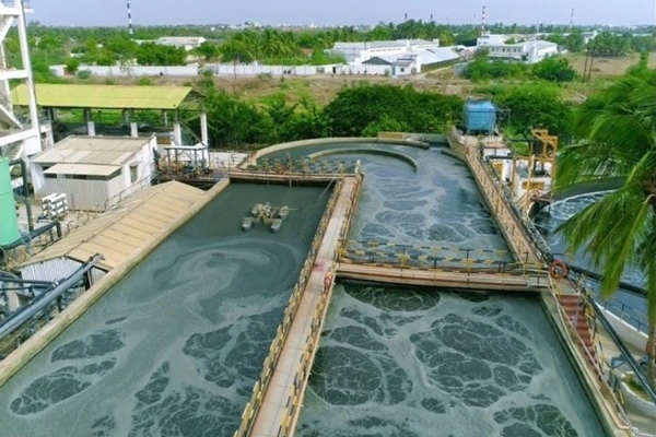 Biological oxidation